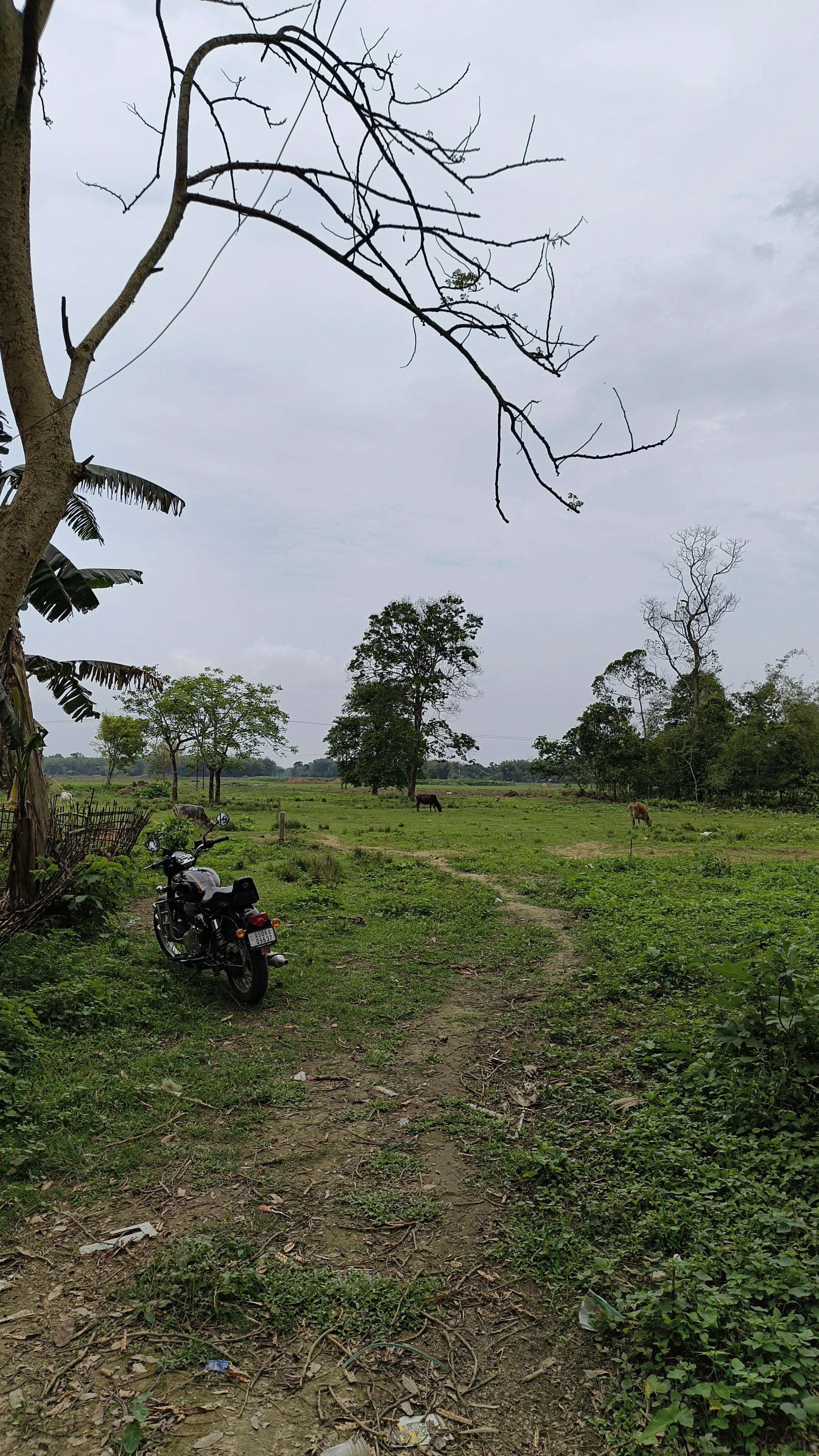 Bongal Gaon Plot 1