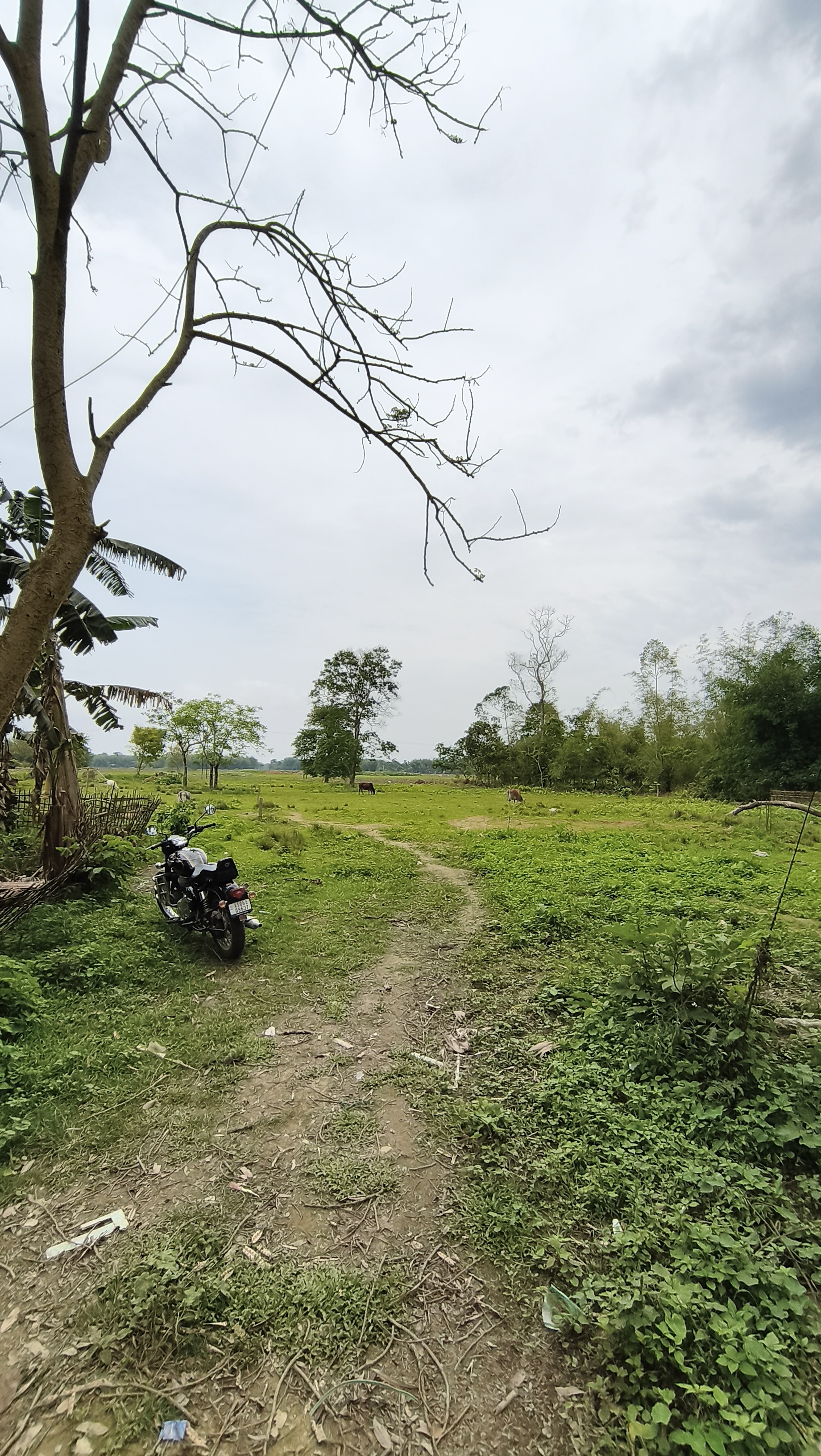 Bongal Gaon Plot 4
