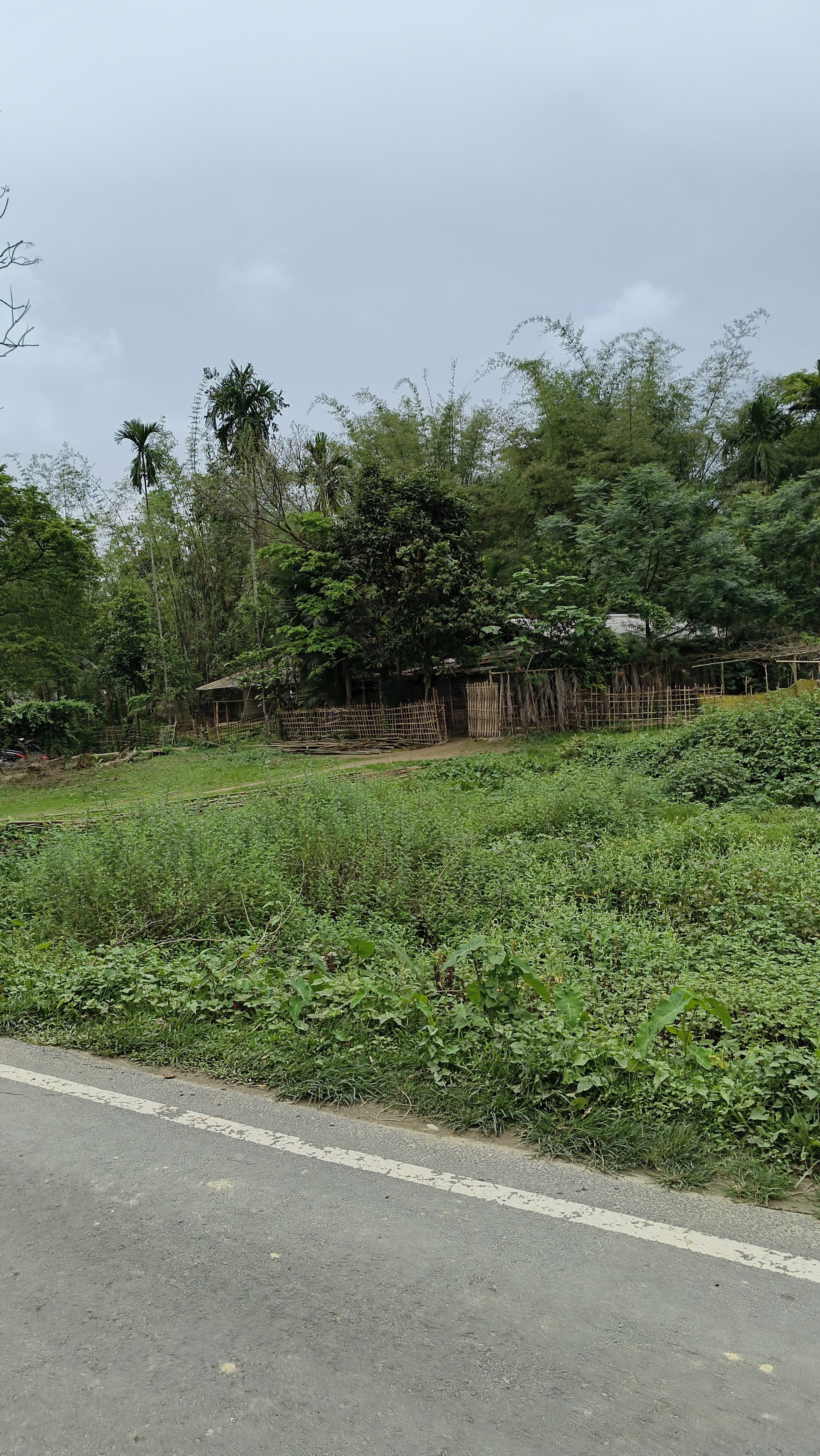 Khanikar Plot 1