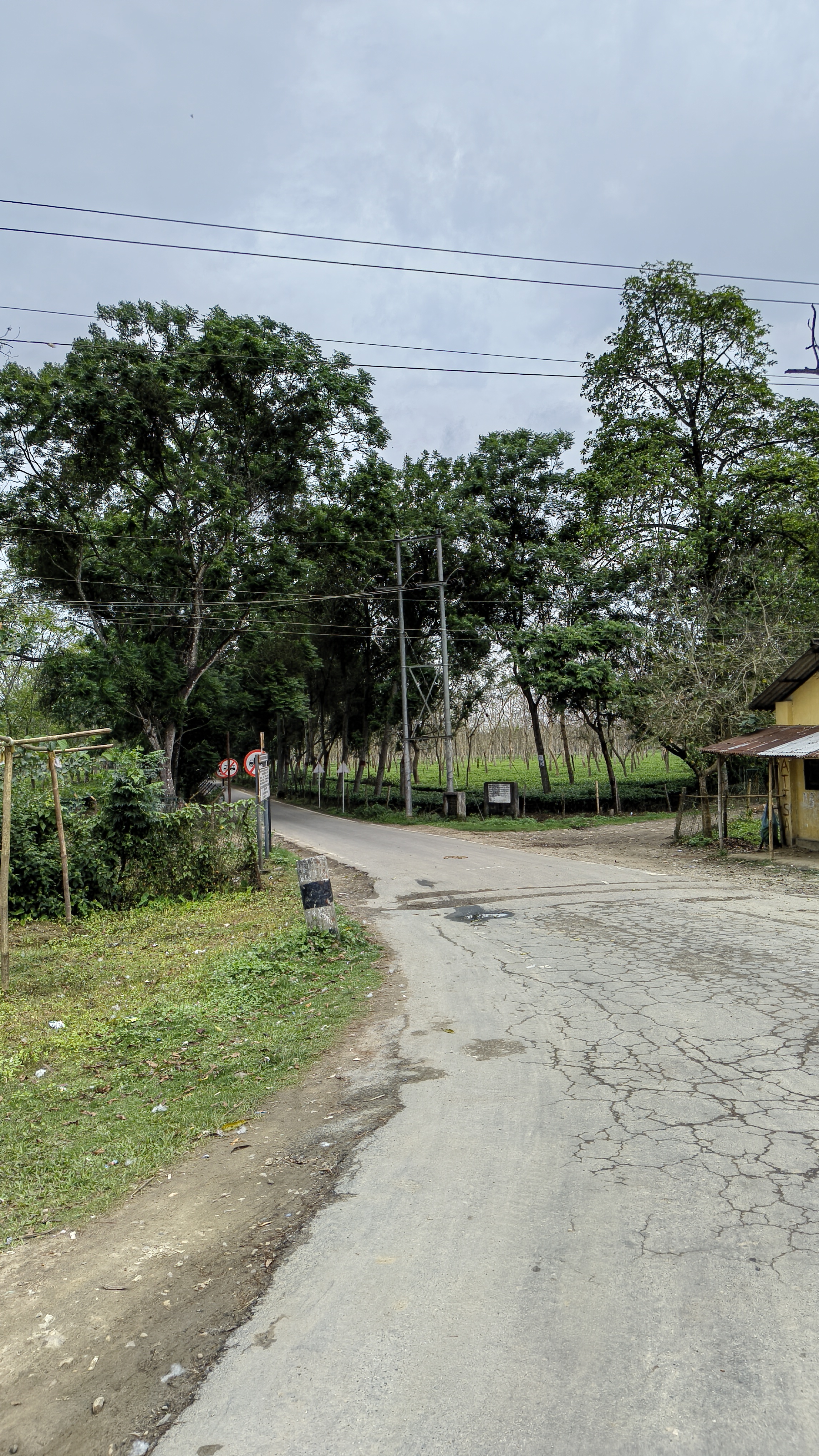 Khanikar Plot 2