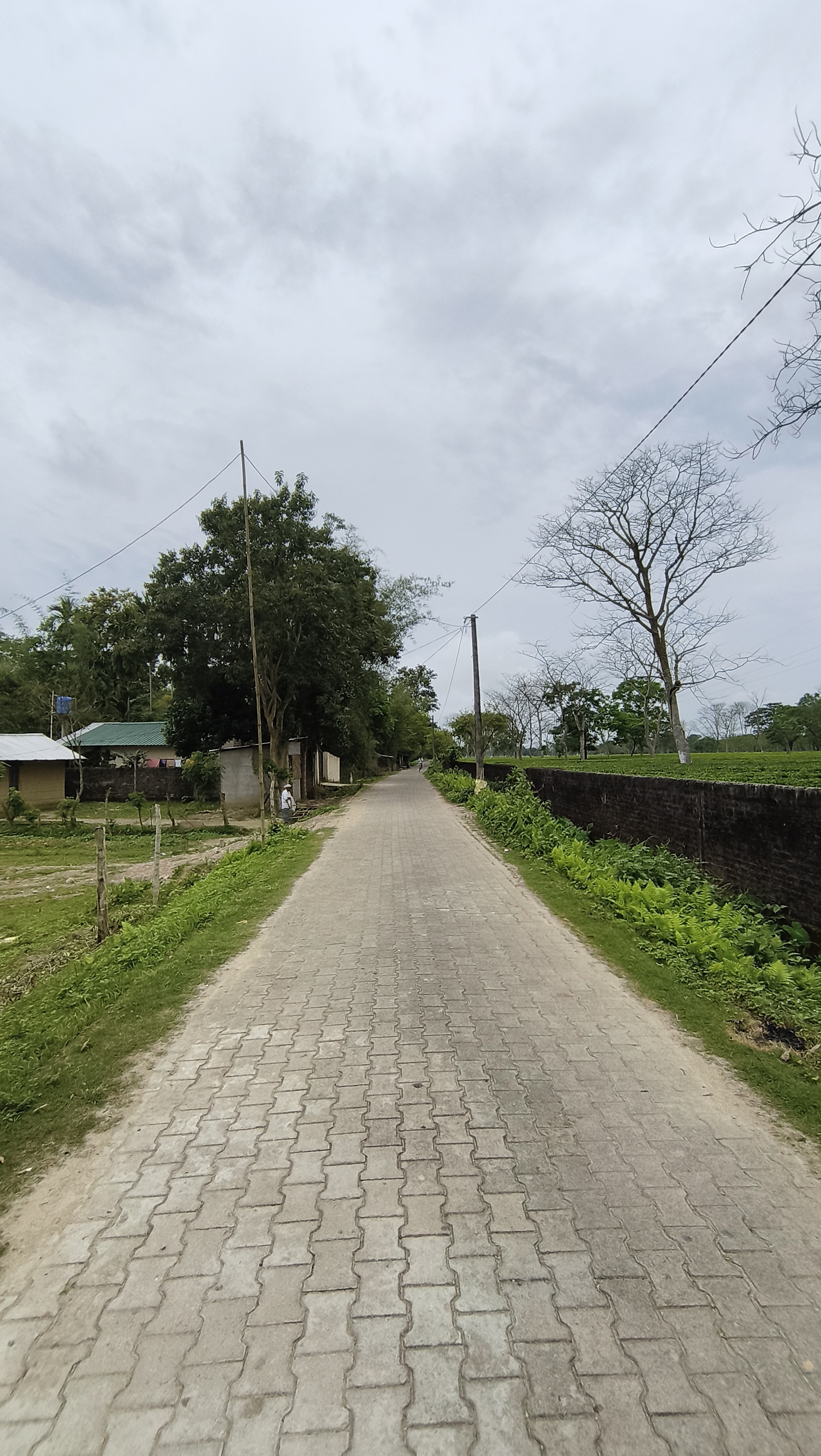 Khanikar Plot 4