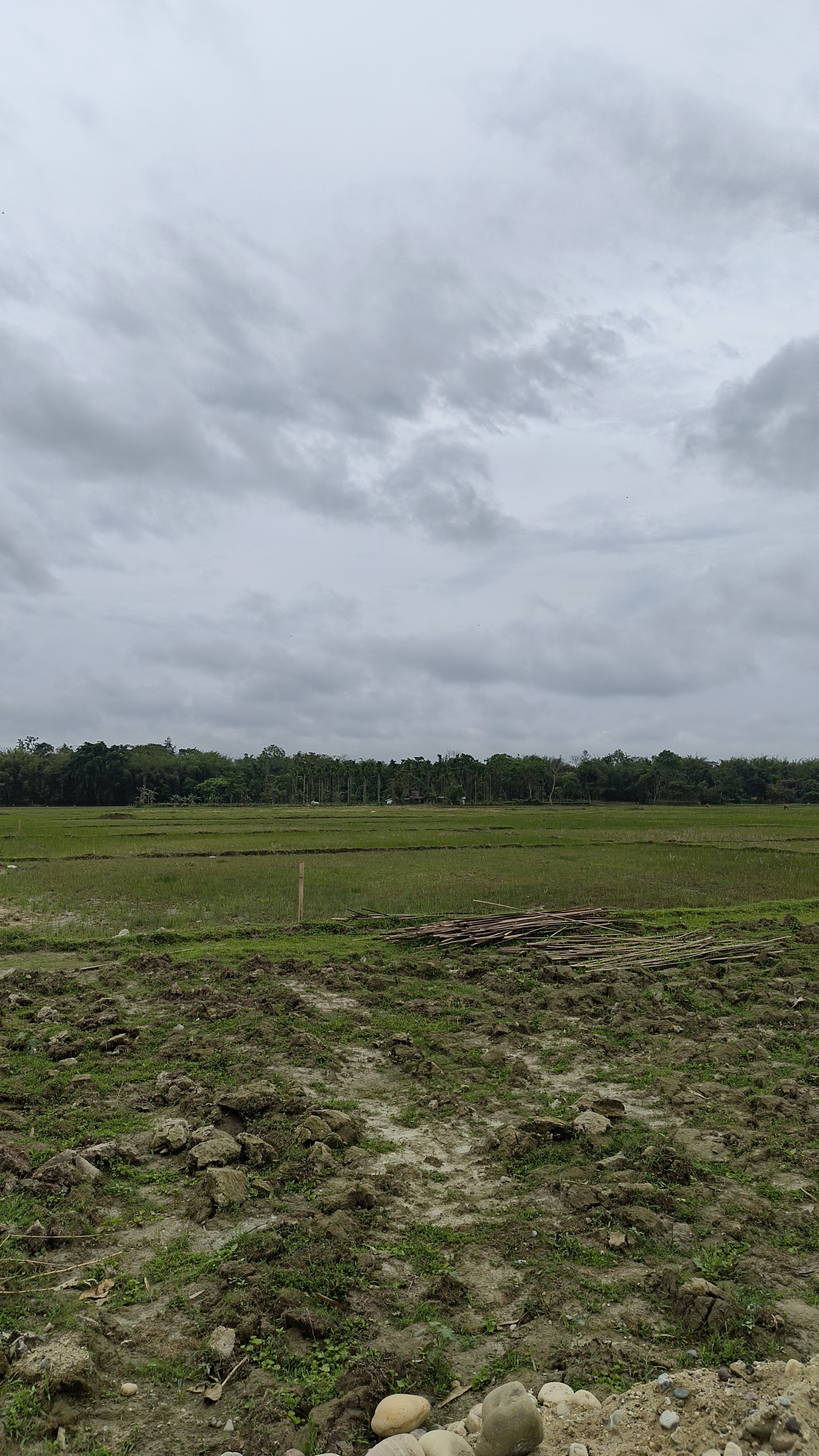 Khanikar Plot 5